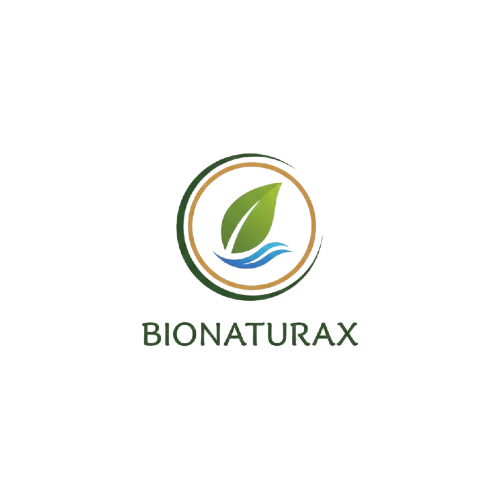 gemini generated image hv9u0rhv9u0rhv9u removebg preview